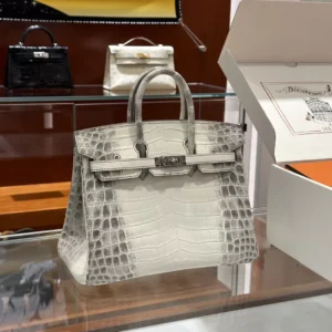 DDMode Factory Birkin Matte Niloticus crocodile Himalaya Silver Hardware 25cm Full Handmade