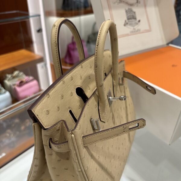 DDMode Birkin Ostrich vanilla Light Khaki Silver Hardware 25cm Full Handmade