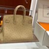 DDMode Birkin Ostrich vanilla Light Khaki Silver Hardware 25cm Full Handmade