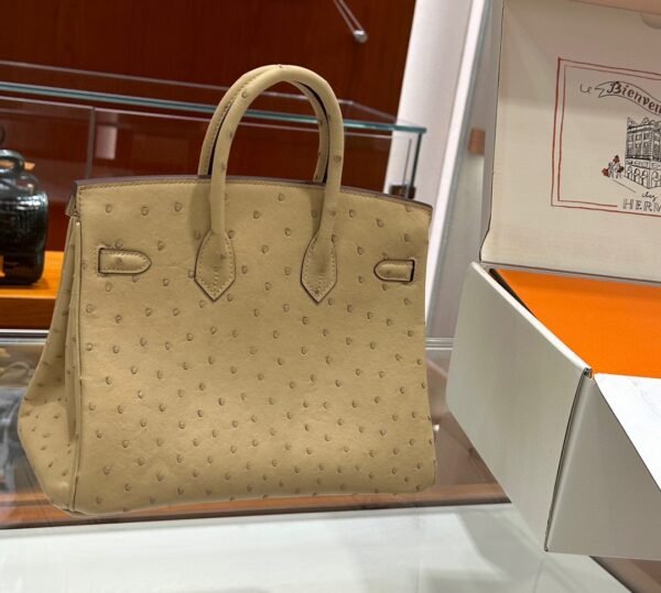 DDMode Birkin Ostrich vanilla Light Khaki Silver Hardware 25cm Full Handmade