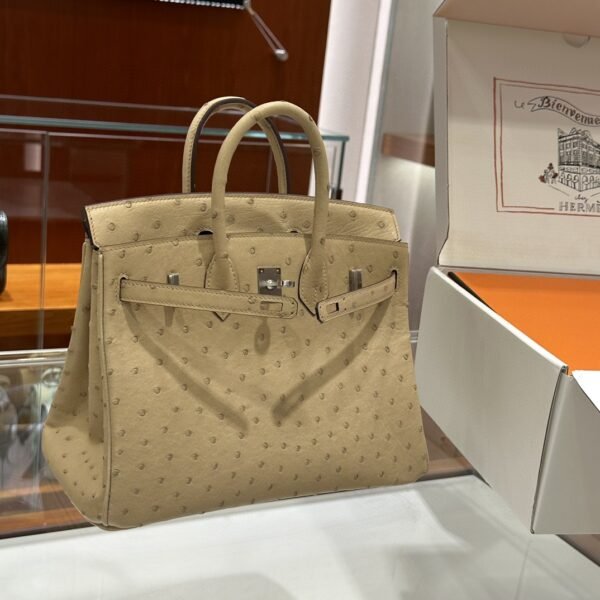 DDMode Birkin Ostrich vanilla Light Khaki Silver Hardware 25cm Full Handmade