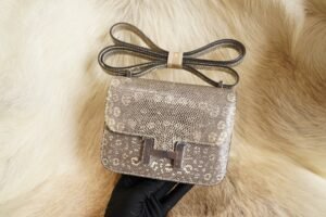 DDMode Hermes 1B Ombre Lizard Constance 14CM Silver Hardware