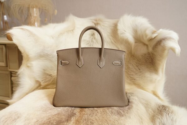 DDMode Whatsapp Hermes 8L Beton Birkin 25CM Togo Leather Gold Hardware