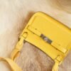 DDMode Wechat Hermes 9O Jaune De Naples Swift Jypsiere Mini Silver Hardware