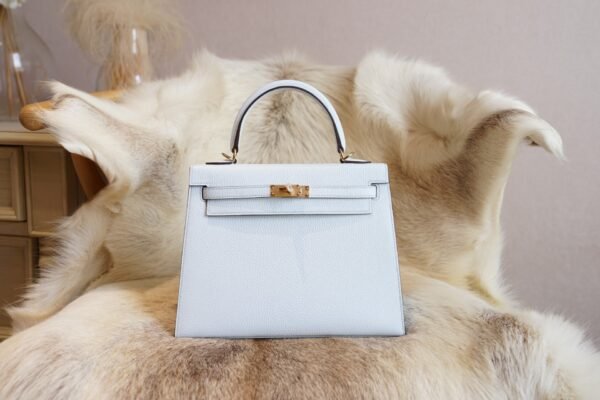 DDMode Wechat Hermes T0 Blue Brume Chevre Leather Kelly 25CM Gold Hardware