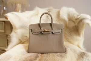 DDMode Whatsapp Hermes 8L Beton Birkin 25CM Togo Leather Gold Hardware