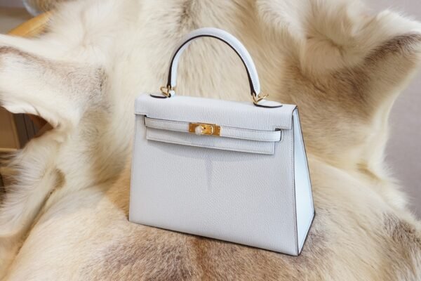 DDMode Wechat Hermes T0 Blue Brume Chevre Leather Kelly 25CM Gold Hardware