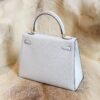 DDMode Wechat Hermes T0 Blue Brume Chevre Leather Kelly 25CM Gold Hardware