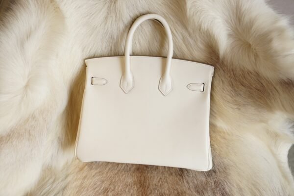 DDMode Whatsapp Hermes Birkin 25CM CK10 Craie Jonathan Leather Silver Hardware