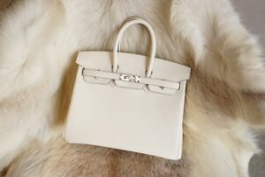 DDMode Whatsapp Hermes Birkin 25CM CK10 Craie Jonathan Leather Silver Hardware