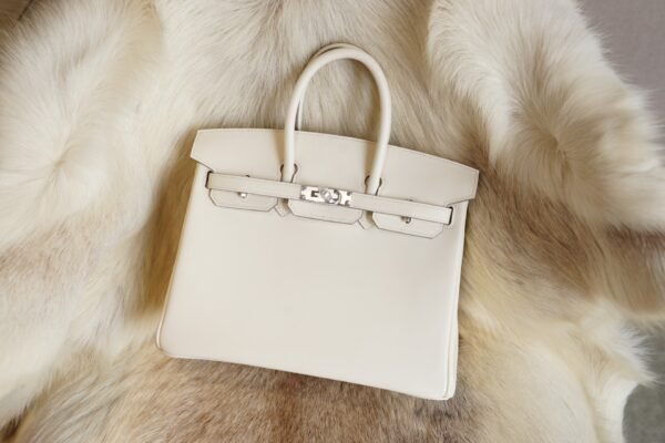 DDMode Whatsapp Hermes Birkin 25CM CK10 Craie Jonathan Leather Silver Hardware