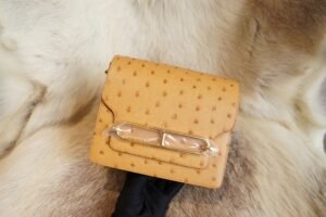 DDMode Factory Hermes Ostrich Roulis 19cm 24 Tabac-Camel Gold Hardware