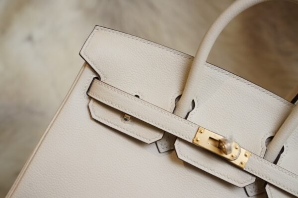 DDMode Factory Hermes Birkin 25CM 8L Beton Evercolor Leather Gold Hardware