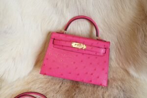 DDMode Whatsapp Hermes E5 Rose Tyrien Ostrich Skin Mini Kelly 19CM Gold Hardware