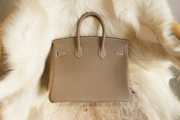 DDMode Whatsapp Hermes 8L Beton Birkin 25CM Togo Leather Gold Hardware