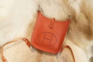DDMode Factory Hermes Evelyne Mini 17CM 6C Cuivre Clemence Silver Hardware