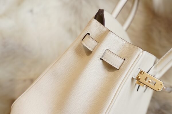 DDMode Factory Hermes Birkin 25CM 8L Beton Evercolor Leather Gold Hardware