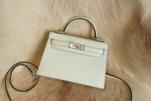 DDMode Wechat Hermes Mini Kelly 19CM 0S Vert Fizz Epsom Leather Silver Hardware