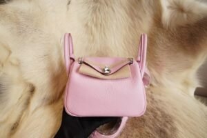 DDMode Hermes X9 Mauve Sylvestre Mini Lindy 19CM Clemence Leather Silver Hardware