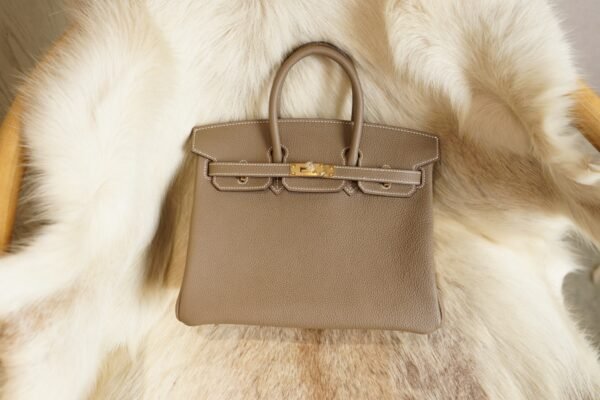 DDMode Whatsapp Hermes 8L Beton Birkin 25CM Togo Leather Gold Hardware