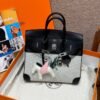 UAE Hermes Birkin 25CM Canvas Bag CK89 Noir Swift Leather Silver Hardware