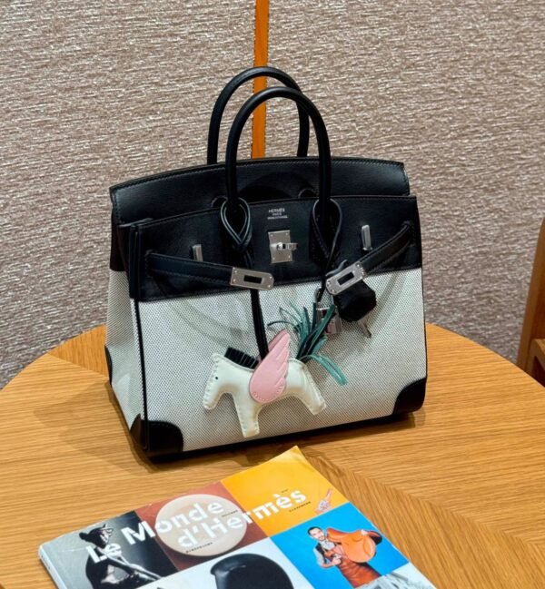 UAE Hermes Birkin 25CM Canvas Bag CK89 Noir Swift Leather Silver Hardware