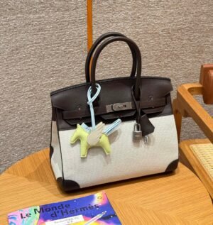 Hermes Birkin 30CM Canvas/Swift Leather Bag 46 Ebene Silver Hardware