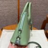 DDMode Bolide 25CM Evercolor Leather 3I Vert Criquent Silver Hardware