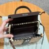 DDMode Kelly Picnic 20CM 46 Ebene Swift Leather Silver Hardware Chicago USA