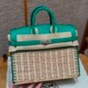 DDMode Birkin Picnic 6W Menthe Swift Leather 25CM Silver Hardware