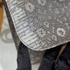 DDMode Hermes Constance 1B OmBre 19CM Lizard Leather Gold Hardware