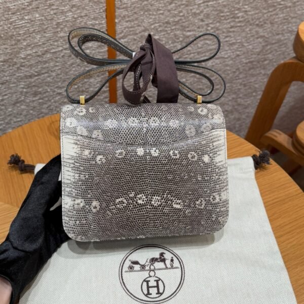 DDMode Hermes Constance 1B OmBre 19CM Lizard Leather Gold Hardware
