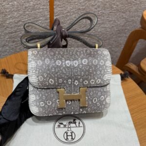 DDMode Hermes Constance 1B OmBre 19CM Lizard Leather Gold Hardware