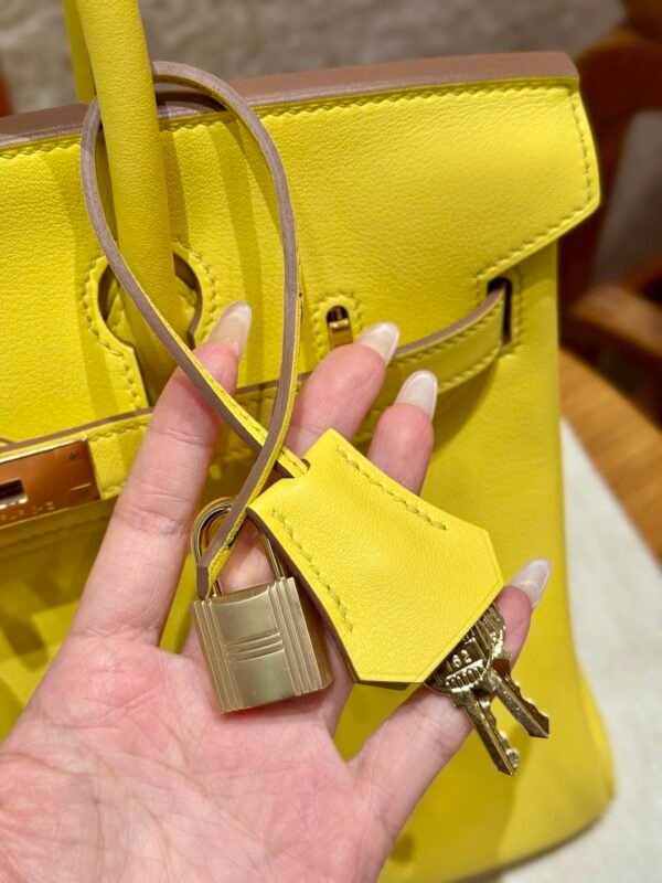 DDMode Hermes Birkin 30CM 9R Lime Swift Leather Gold Hardware