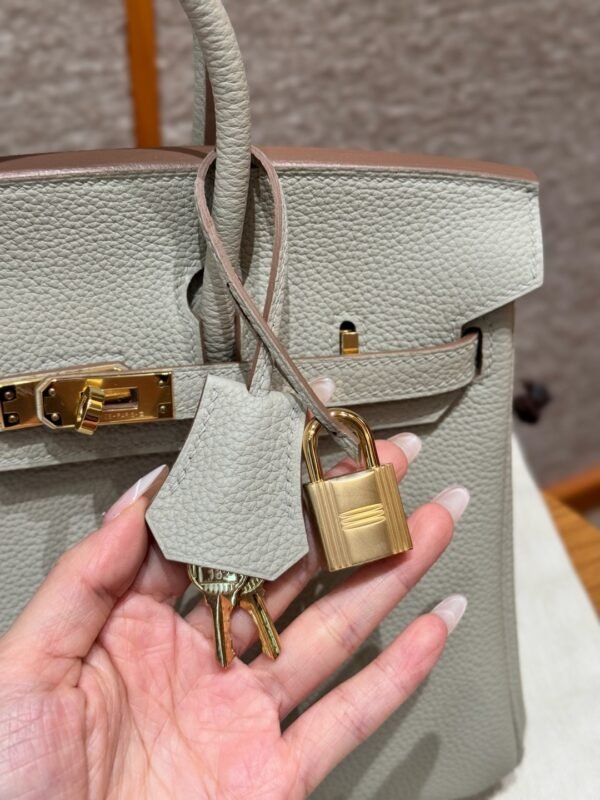 DDMode Hermes Birkin 25CM 80 Gris Perle Togo Leather Gold Hardware