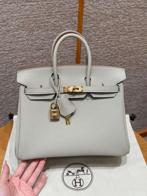 DDMode Hermes Birkin 25CM 80 Gris Perle Togo Leather Gold Hardware