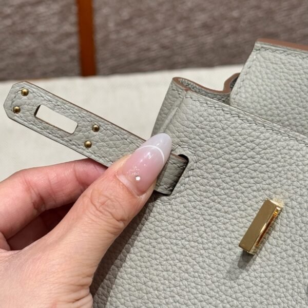 DDMode Hermes Birkin 25CM 80 Gris Perle Togo Leather Gold Hardware