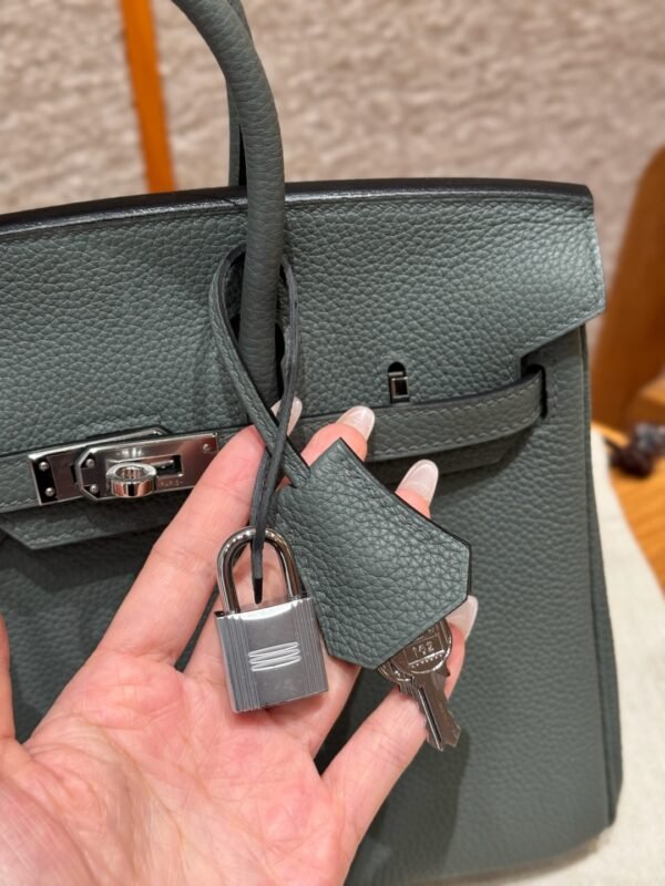 DDMode Hermes Birkin 25CM 63 Vert Amanda Togo Leather Silver Hardware