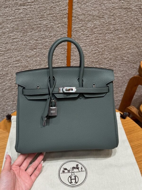 DDMode Hermes Birkin 25CM 63 Vert Amanda Togo Leather Silver Hardware