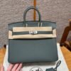 DDMode Hermes Birkin 25CM 63 Vert Amanda Togo Leather Silver Hardware