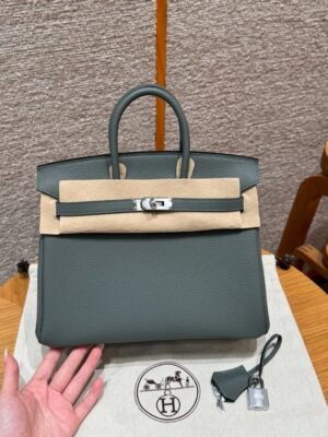 DDMode Hermes Birkin 25CM 63 Vert Amanda Togo Leather Silver Hardware