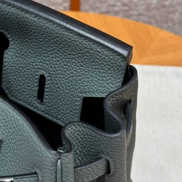 DDMode Hermes Birkin 25CM 63 Vert Amanda Togo Leather Silver Hardware