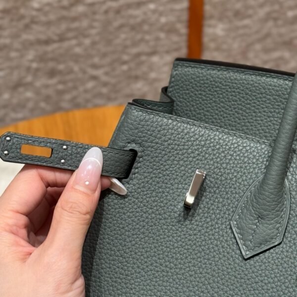 DDMode Hermes Birkin 25CM 63 Vert Amanda Togo Leather Silver Hardware