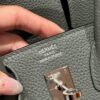DDMode Hermes Birkin 25CM 63 Vert Amanda Togo Leather Silver Hardware