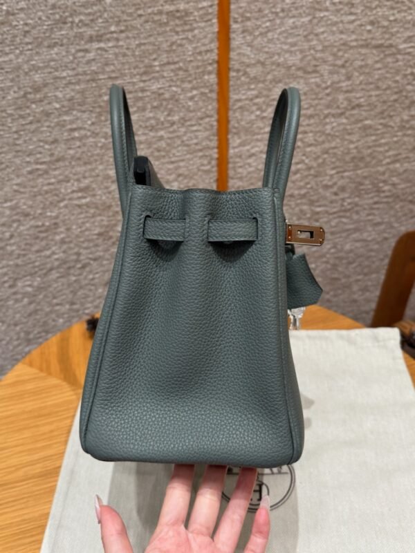 DDMode Hermes Birkin 25CM 63 Vert Amanda Togo Leather Silver Hardware