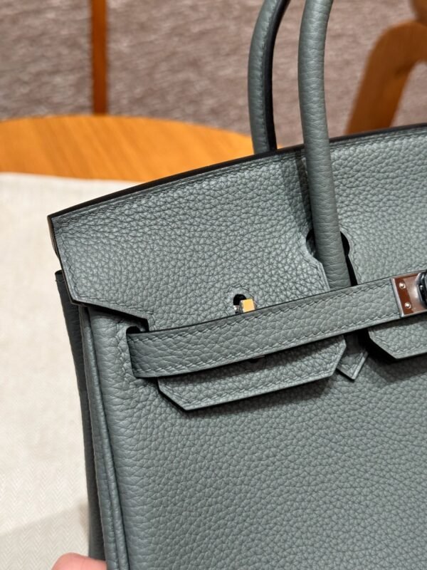 DDMode Hermes Birkin 25CM 63 Vert Amanda Togo Leather Silver Hardware