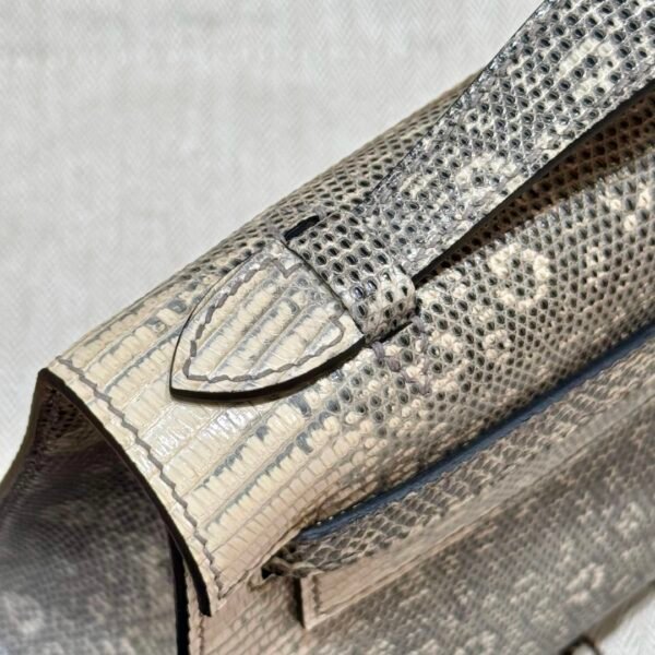 DDMode Hermes Kelly Pochette Lizard Leather 1B OmBre Silver Hardware