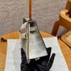 DDMode Hermes Kelly Pochette Lizard Leather 1B OmBre Silver Hardware