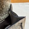 DDMode Hermes Kelly Pochette Lizard Leather 1B OmBre Silver Hardware