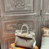 DDMode 18 Etoupe / 10 Craie Togo Leather Birkin 25CM Brush GHW